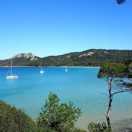Le Sud - Piscine - Vue Dégagée Et Aperçu Villa Carqueiranne